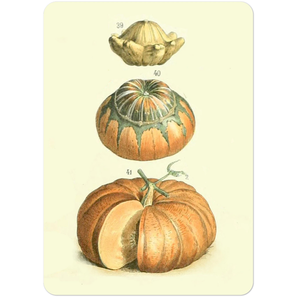 b19ae850-bd04-437f-9f53-356b3f75934d