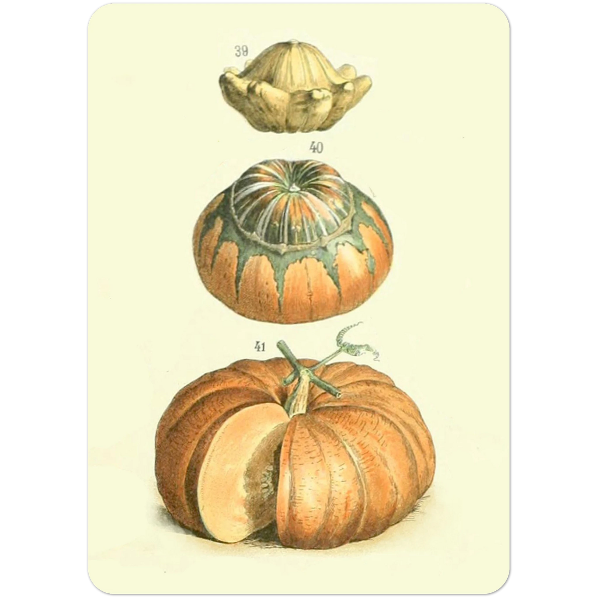 b19ae850-bd04-437f-9f53-356b3f75934d