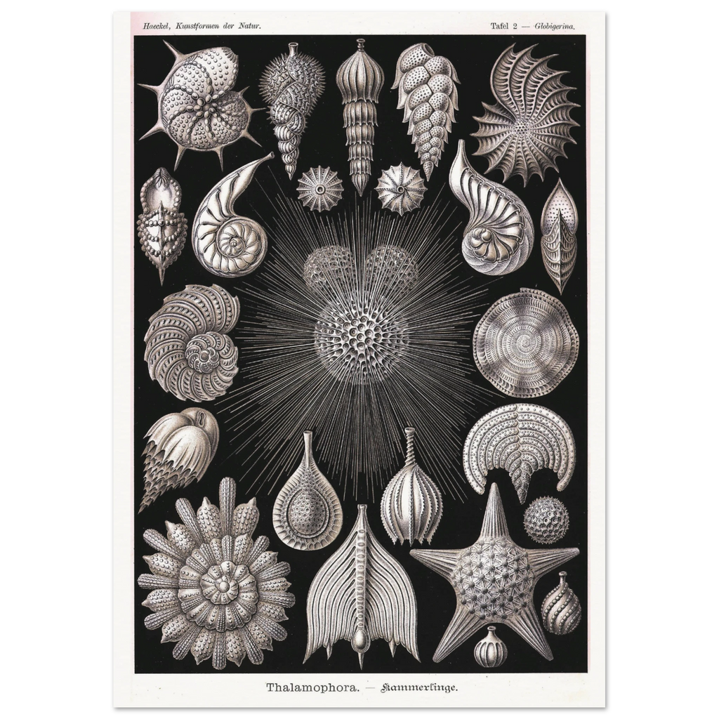 b3f9b38b-f1a0-44a5-854b-e7a096edea28