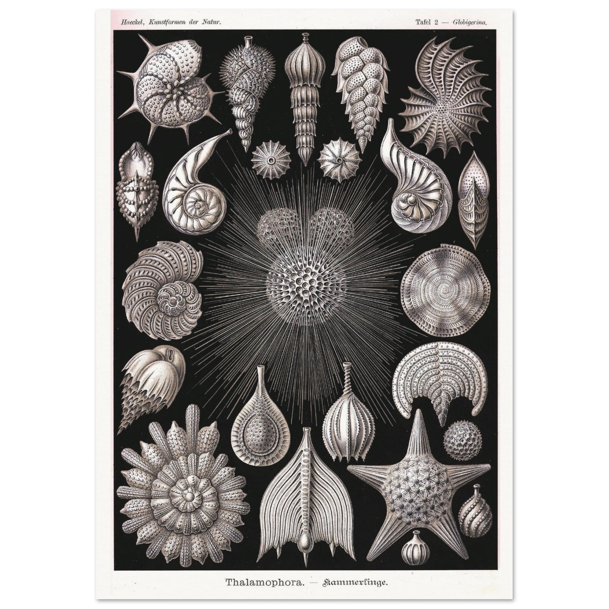 b3f9b38b-f1a0-44a5-854b-e7a096edea28