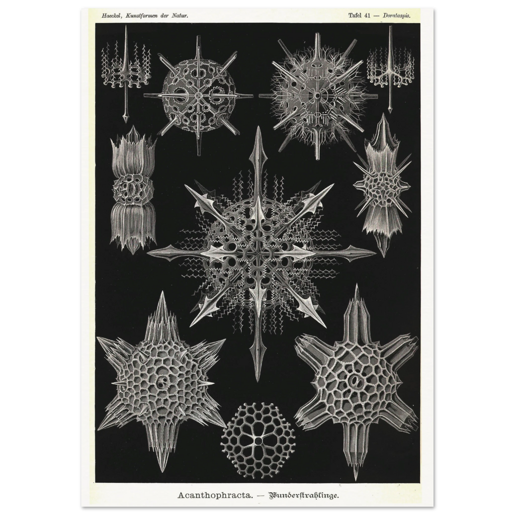 b6bebfb3-664b-4561-a15c-ab3504737586