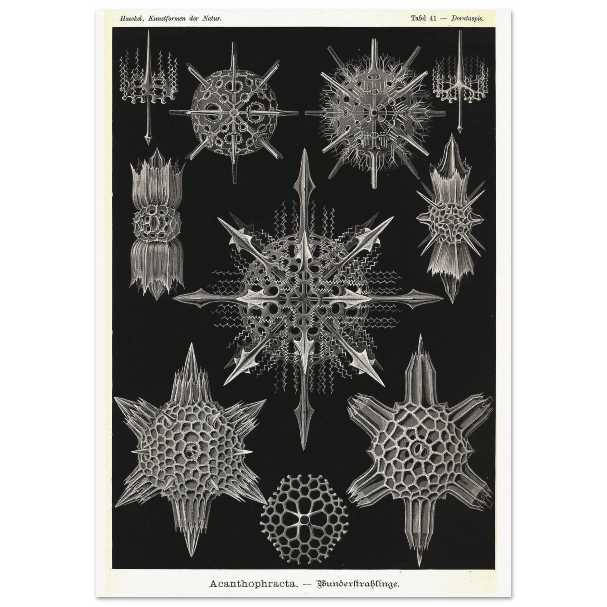 b6bebfb3-664b-4561-a15c-ab3504737586