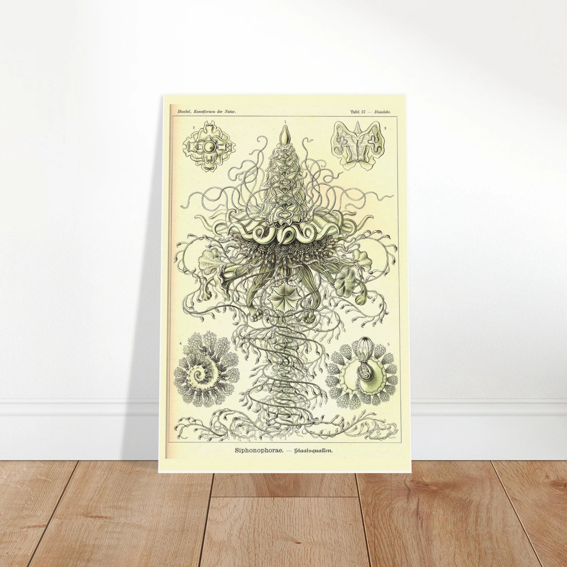 b6eff5d0-cd8d-4399-b2ea-66791b3fa27b