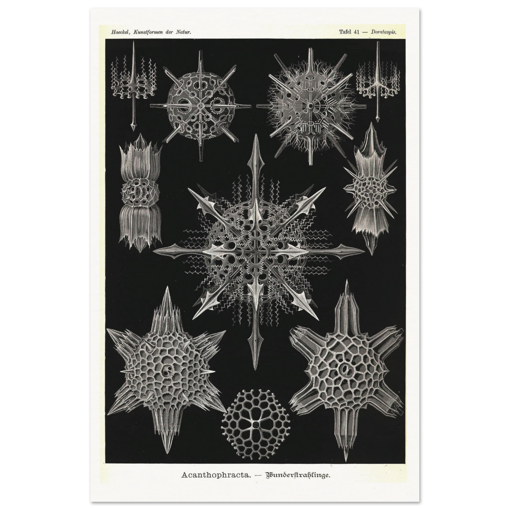 b7030973-199e-4f94-b27e-b9d87958c061