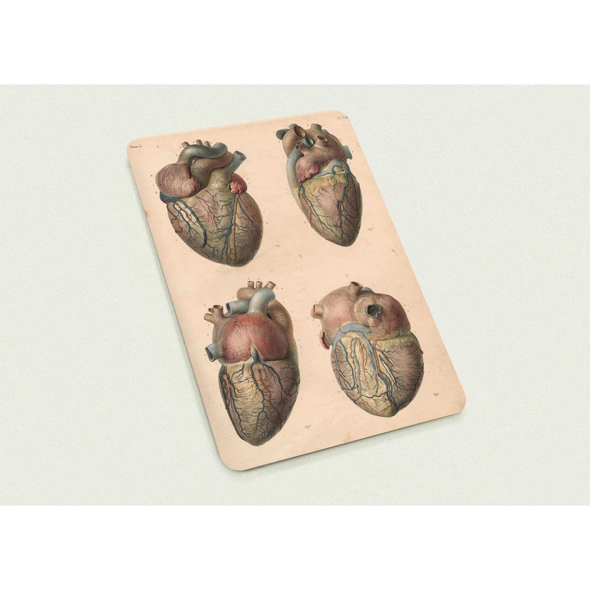 b7f4bbd4-1c90-46c9-900e-2cdae3d06020