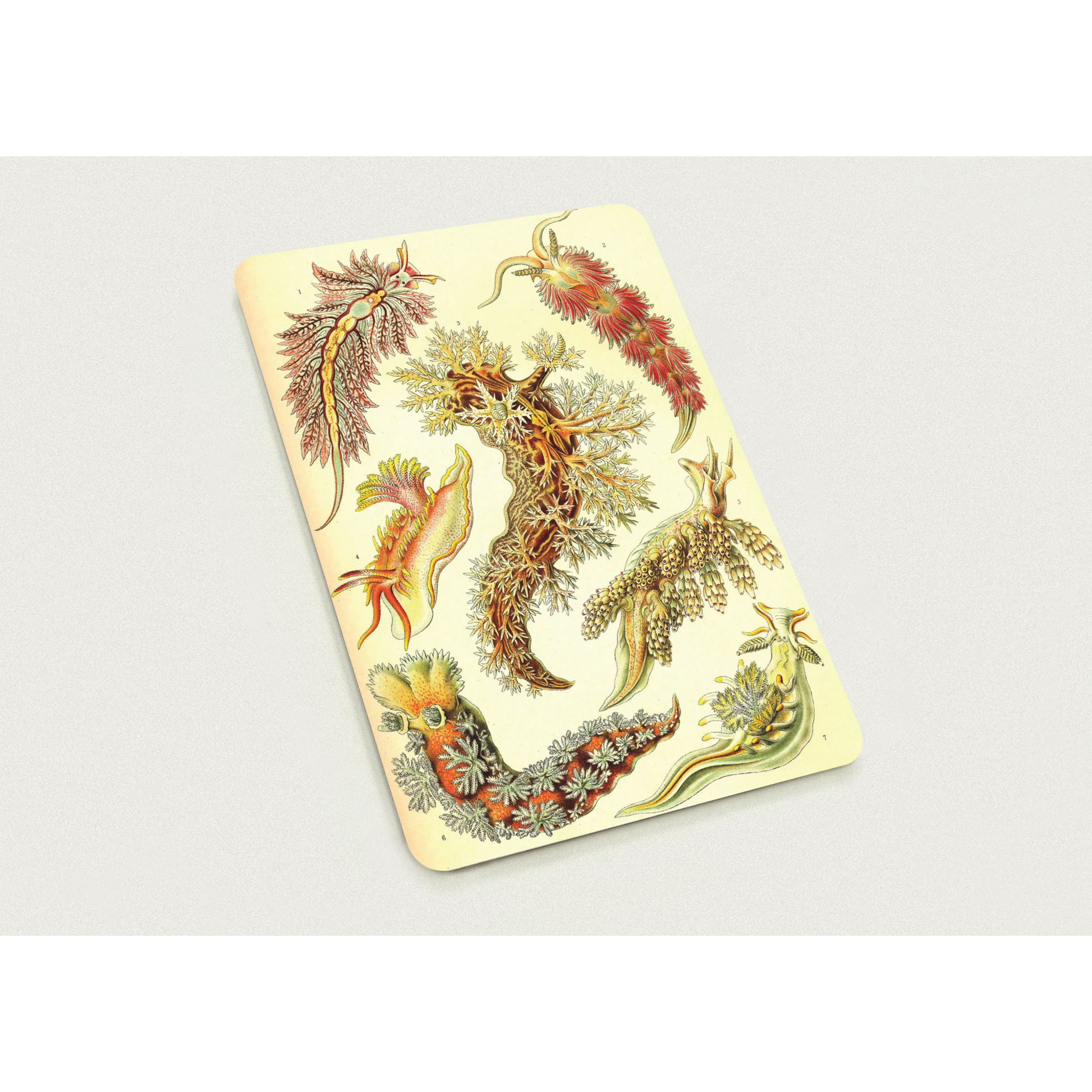 b8524660-d69e-4616-a138-08334f4bd3fe