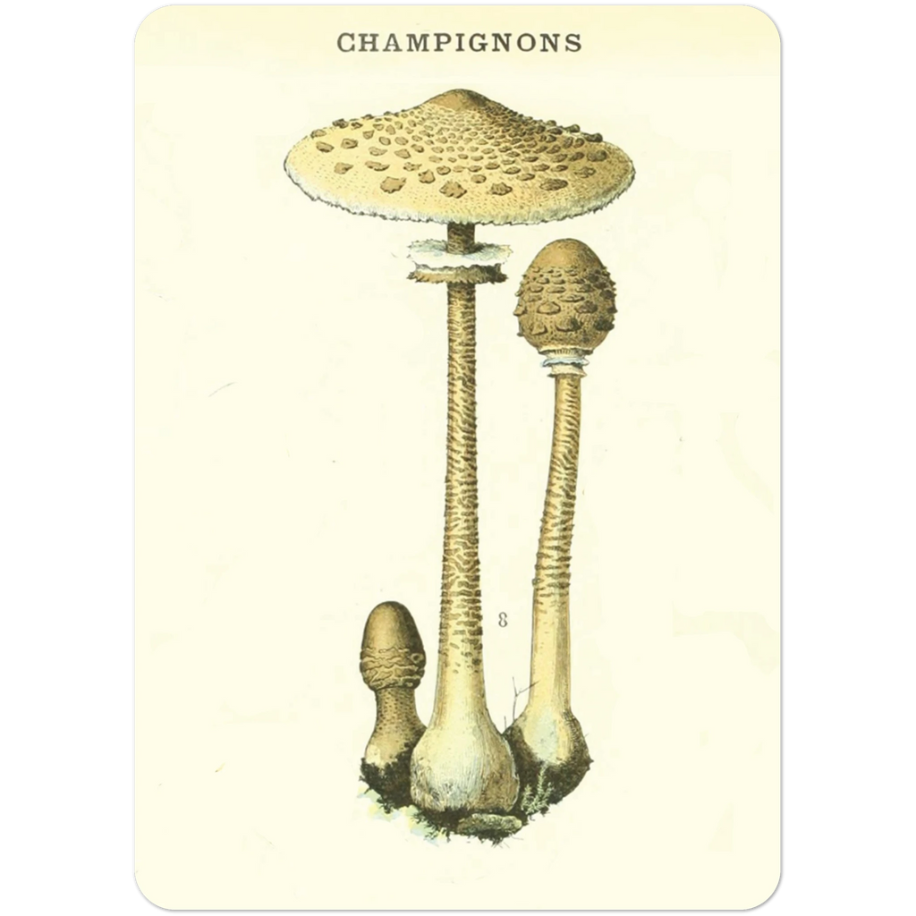 baa42dd3-5f23-4034-ae87-0e3e31588f43