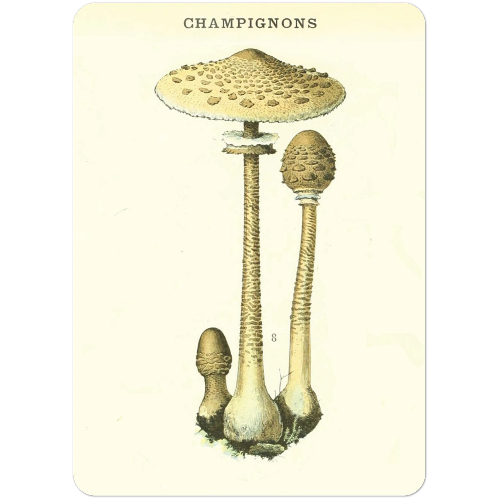 baa42dd3-5f23-4034-ae87-0e3e31588f43