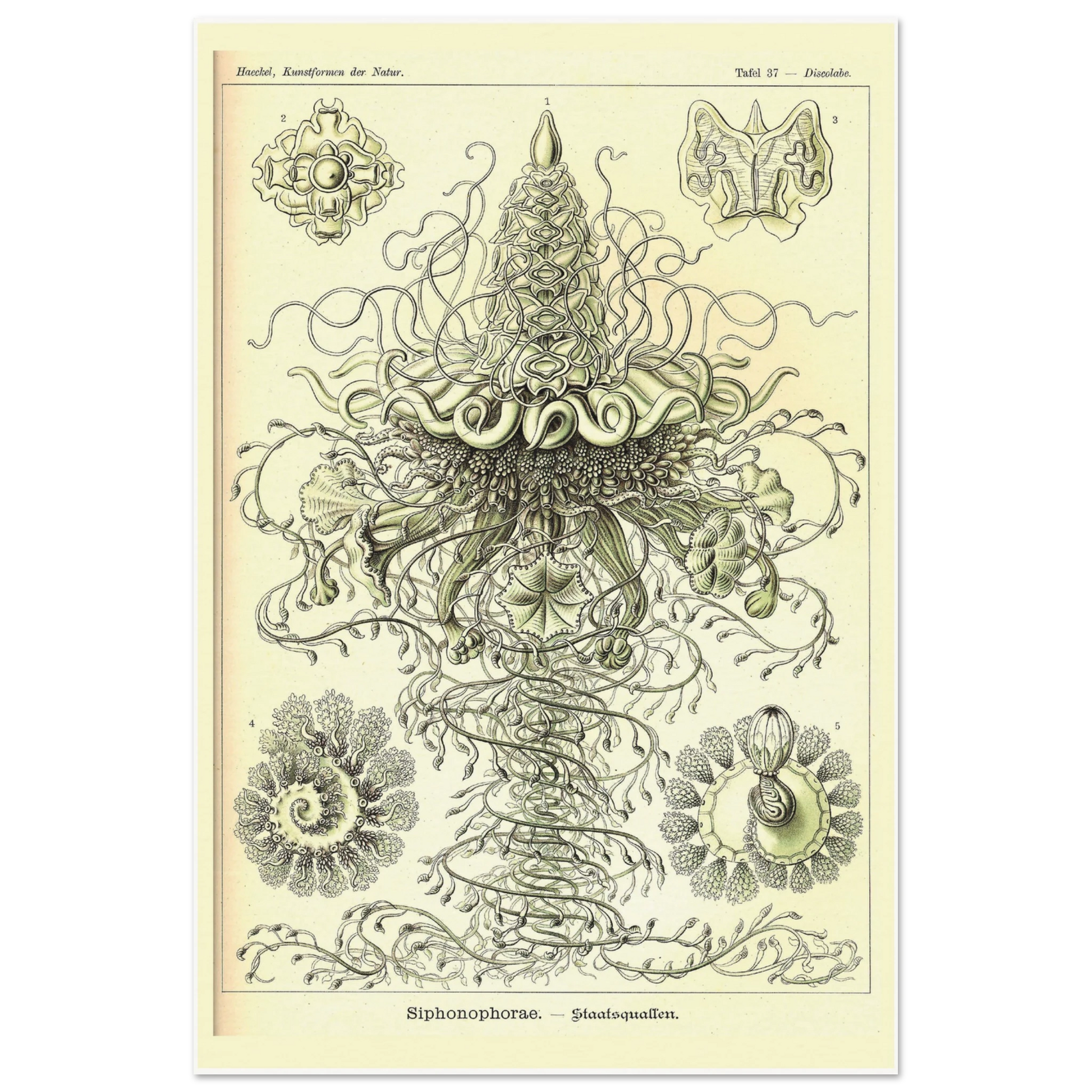 bbb17a4c-892a-439b-a1bd-1cc09adfe156