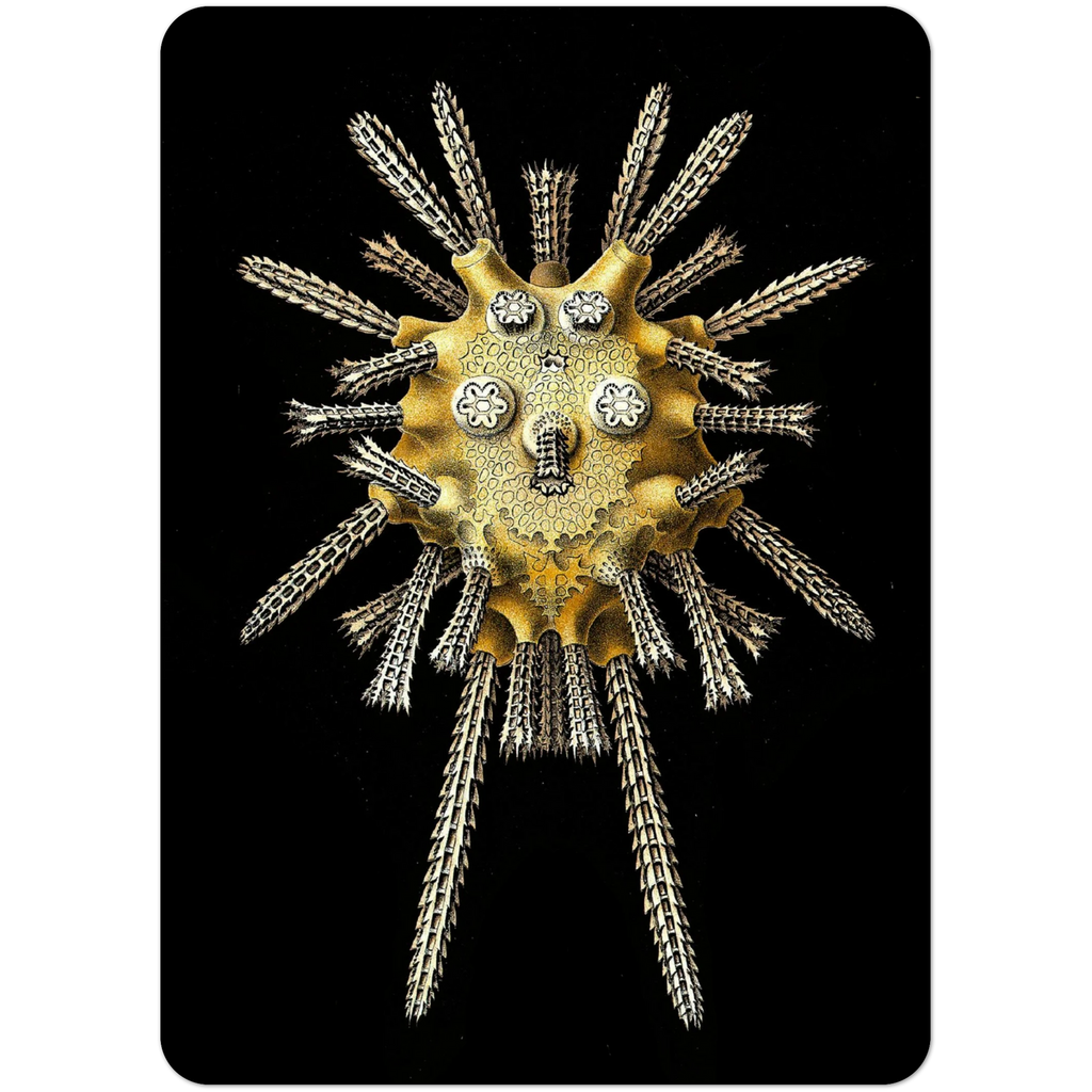 bd70981b-8c7a-42e3-8ece-881cae98db94