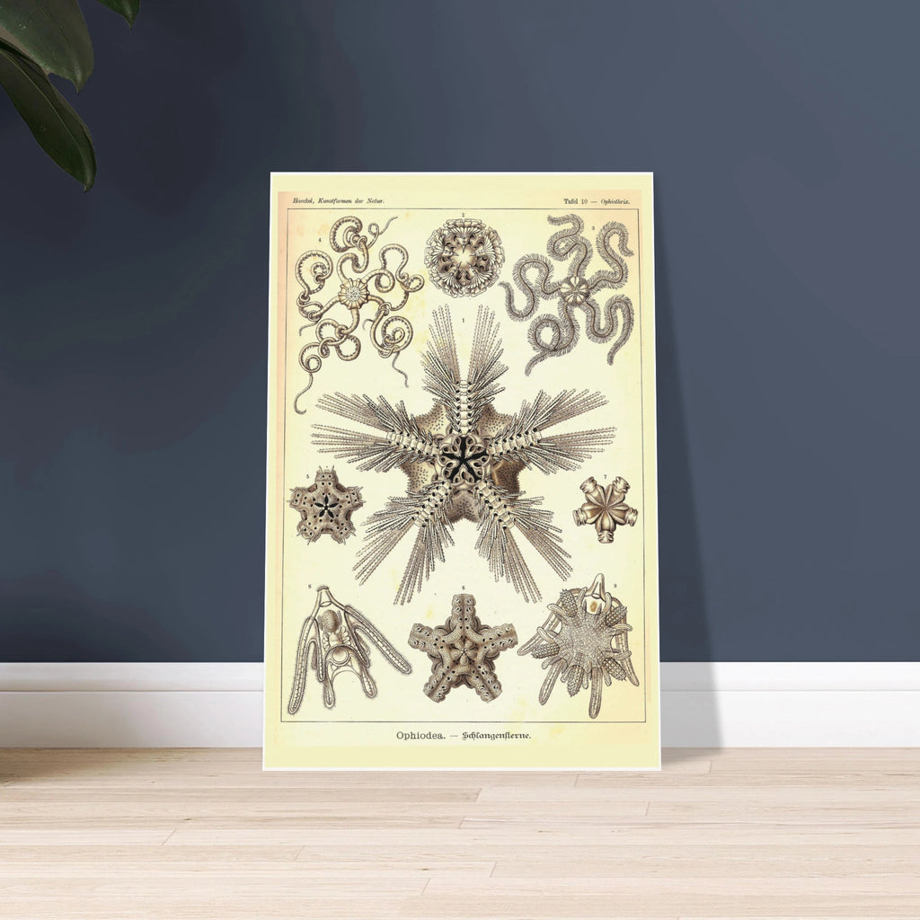 bf716dc4-a578-45ae-8f8e-fe1d8e8d8c34