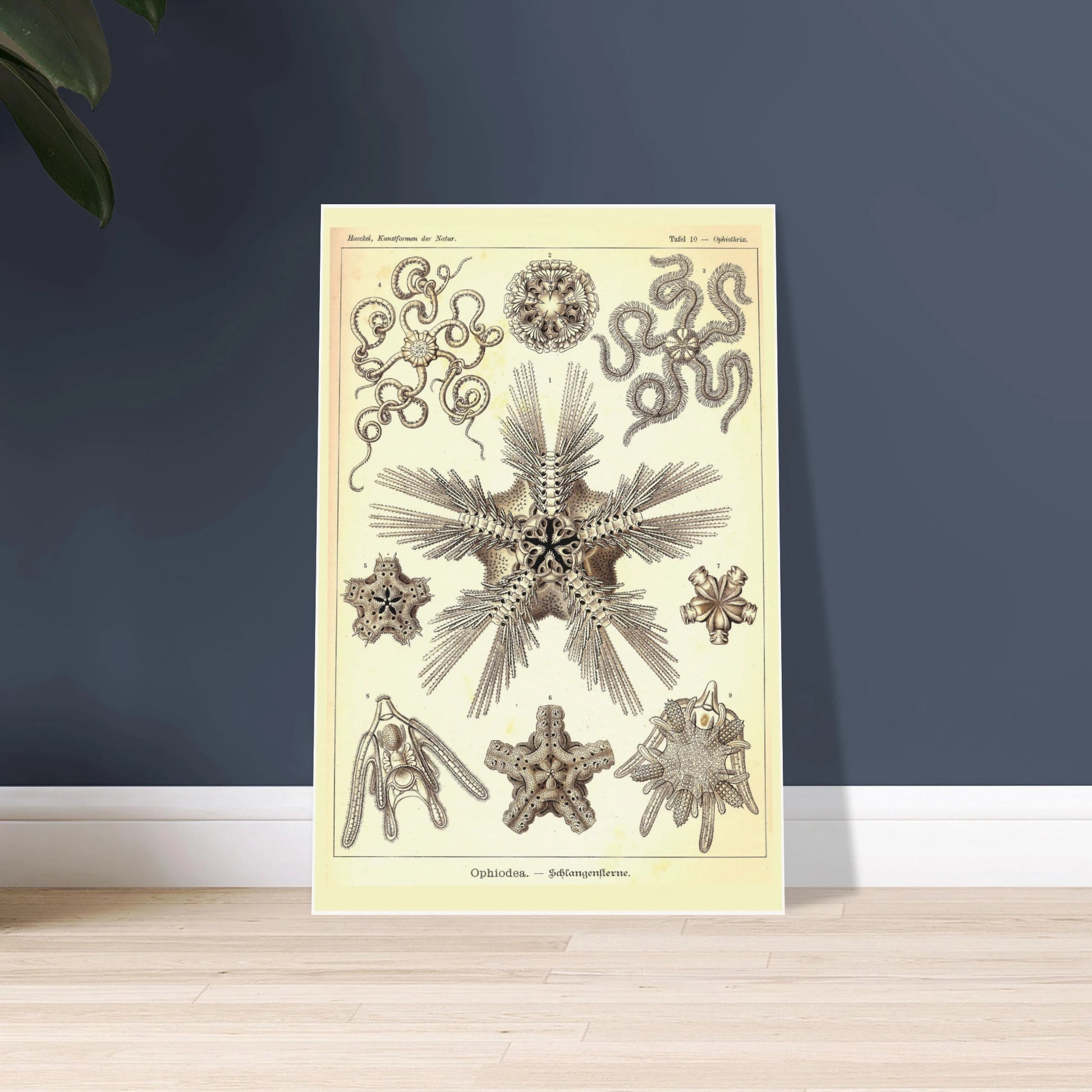 bf716dc4-a578-45ae-8f8e-fe1d8e8d8c34