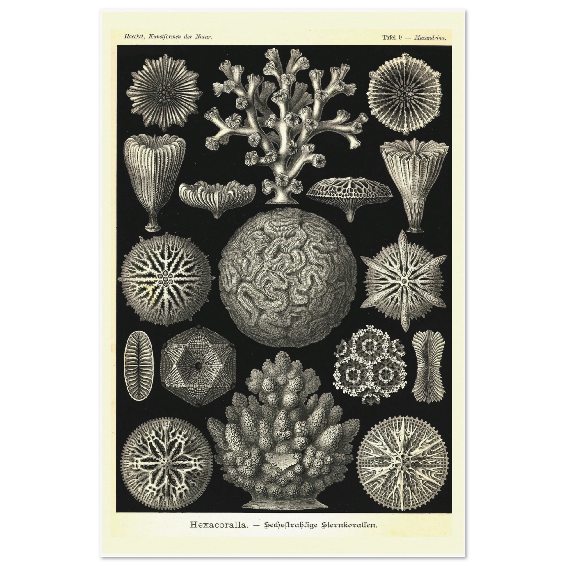 c0fff013-3267-4aa5-878d-e20cca909b83