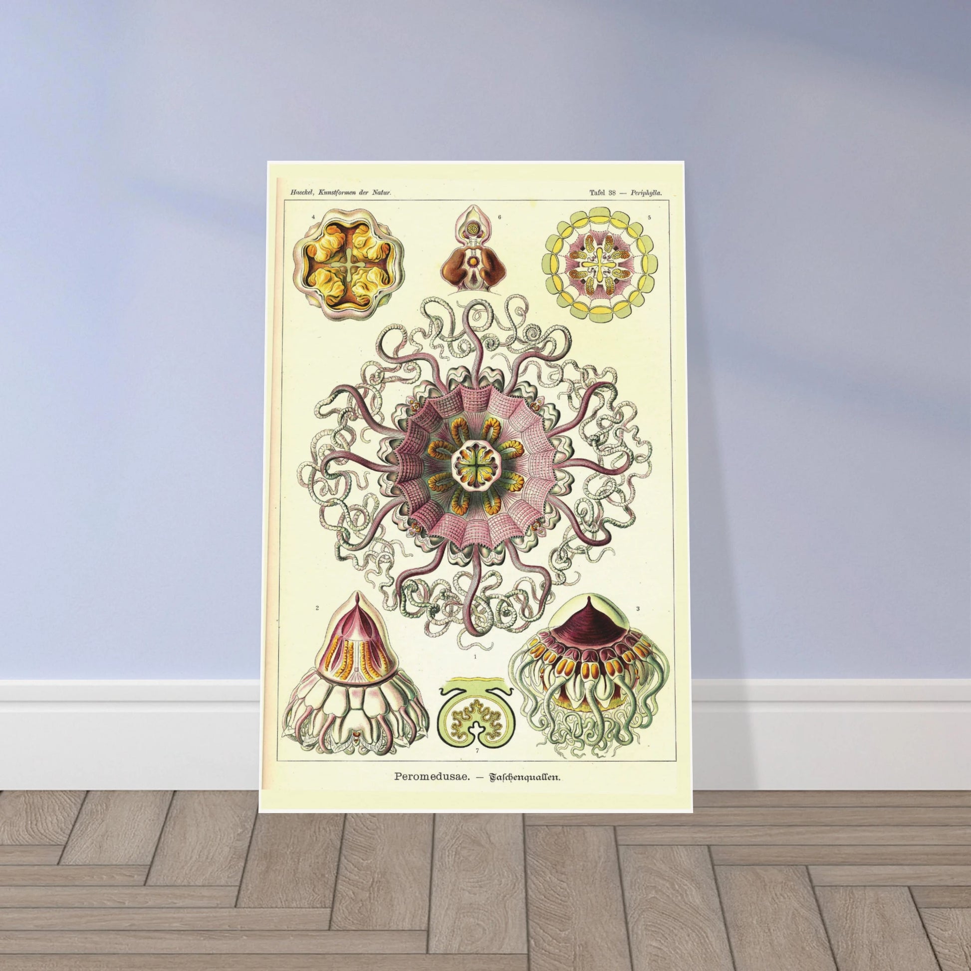 c2f1a236-de6c-4dba-a9e5-705ef6dc4c76