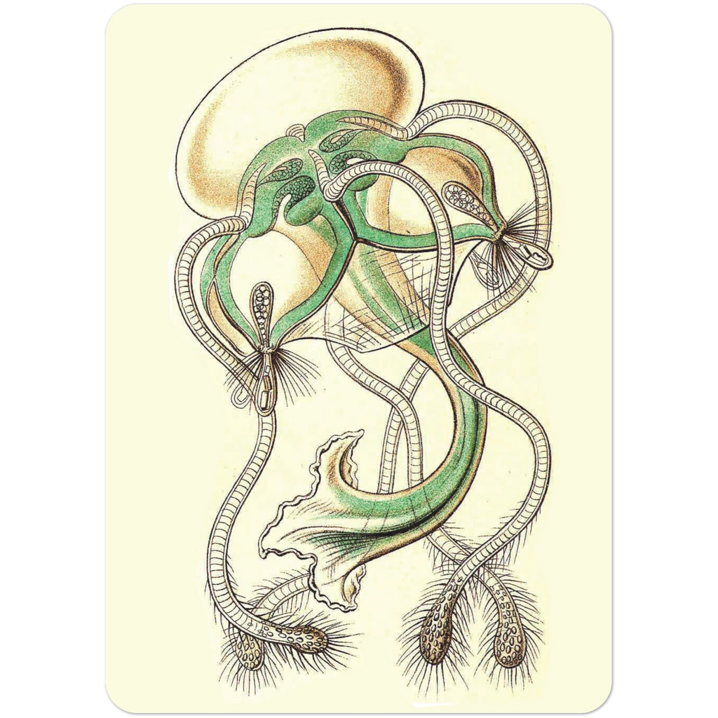 c4522314-0275-4e22-b4a8-3ae73a5a9df8