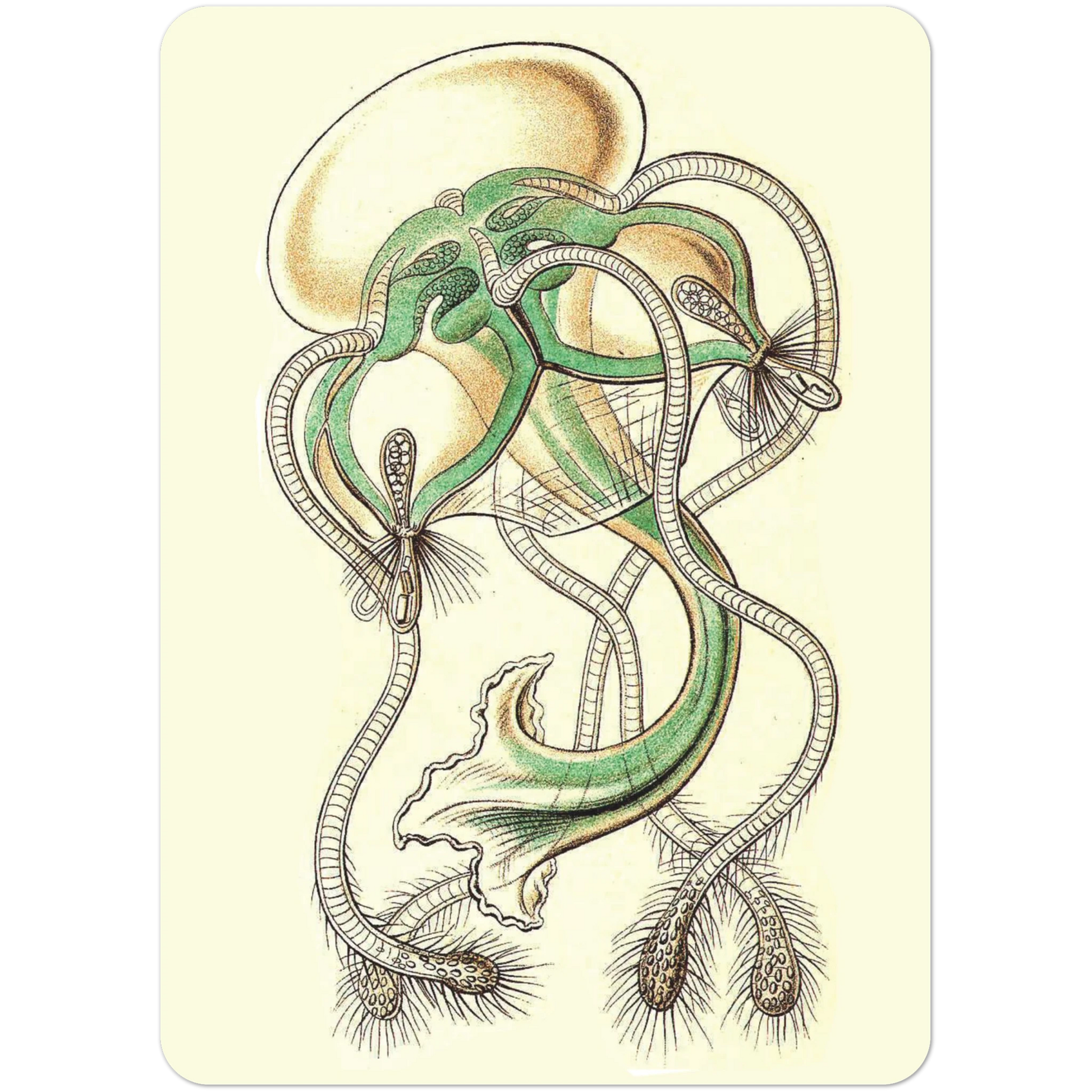 c4522314-0275-4e22-b4a8-3ae73a5a9df8