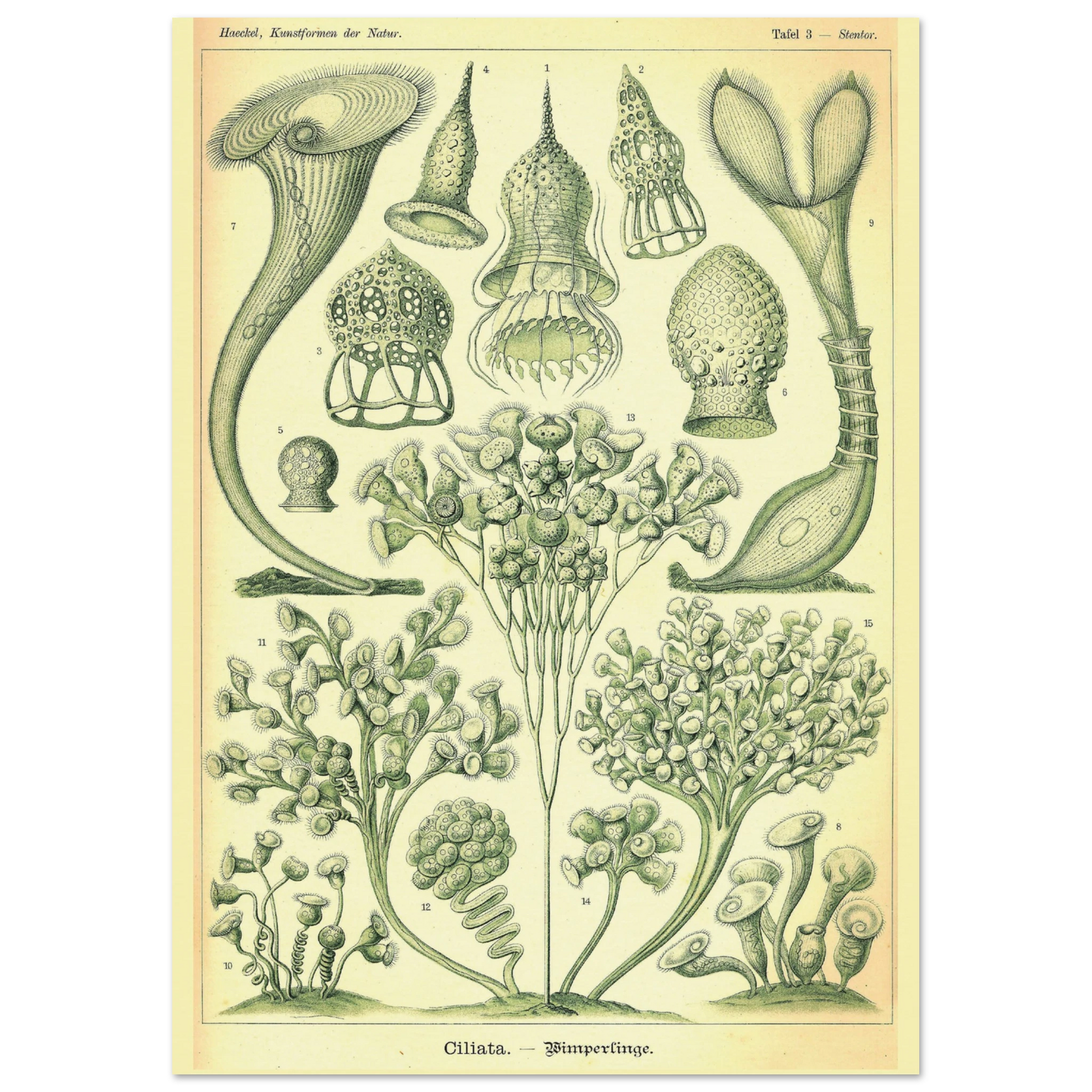 c59469aa-5900-4295-9d07-0f880473cf64