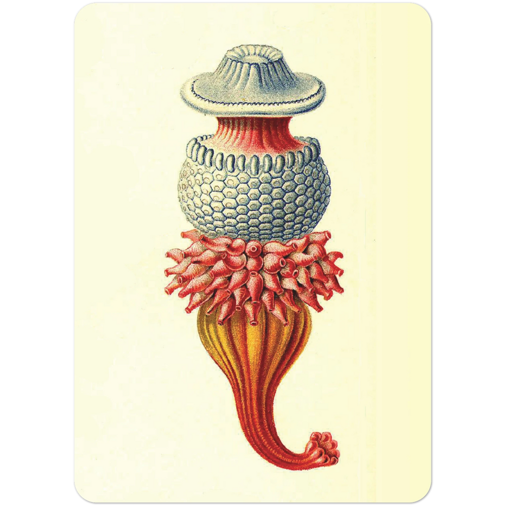 c613cbbf-b0f4-4059-95fc-f520671d218b