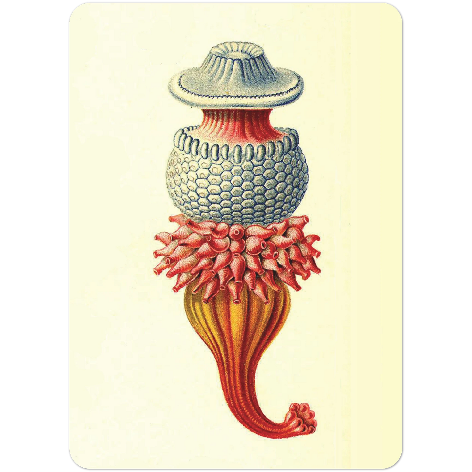 c613cbbf-b0f4-4059-95fc-f520671d218b