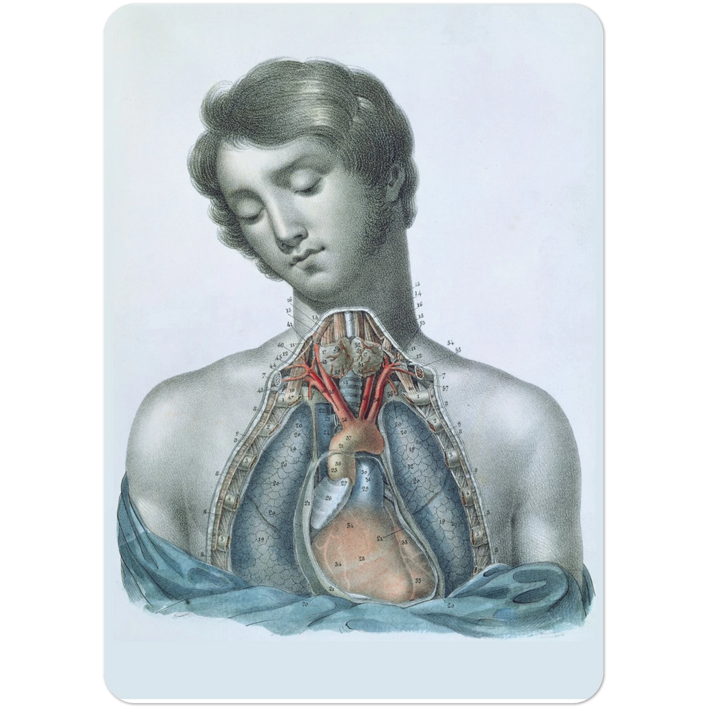 c6d89098-40bd-4024-9695-78c88835eb23