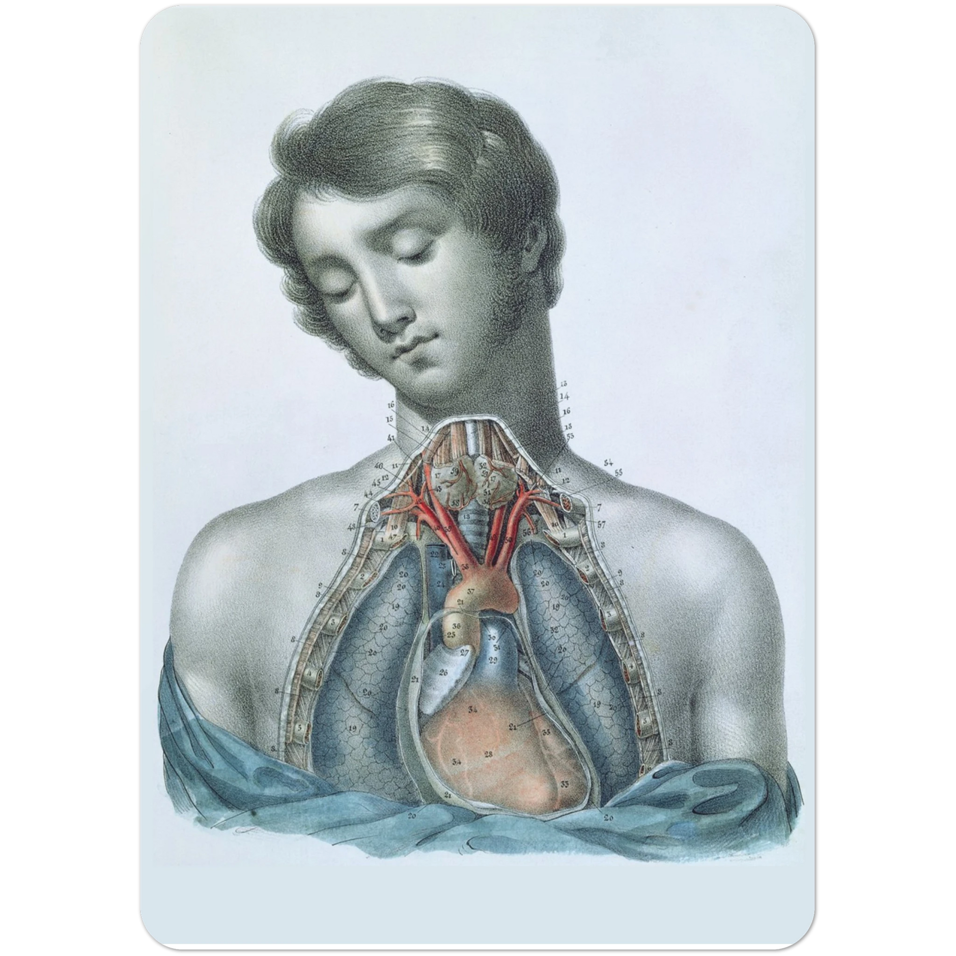 c6d89098-40bd-4024-9695-78c88835eb23