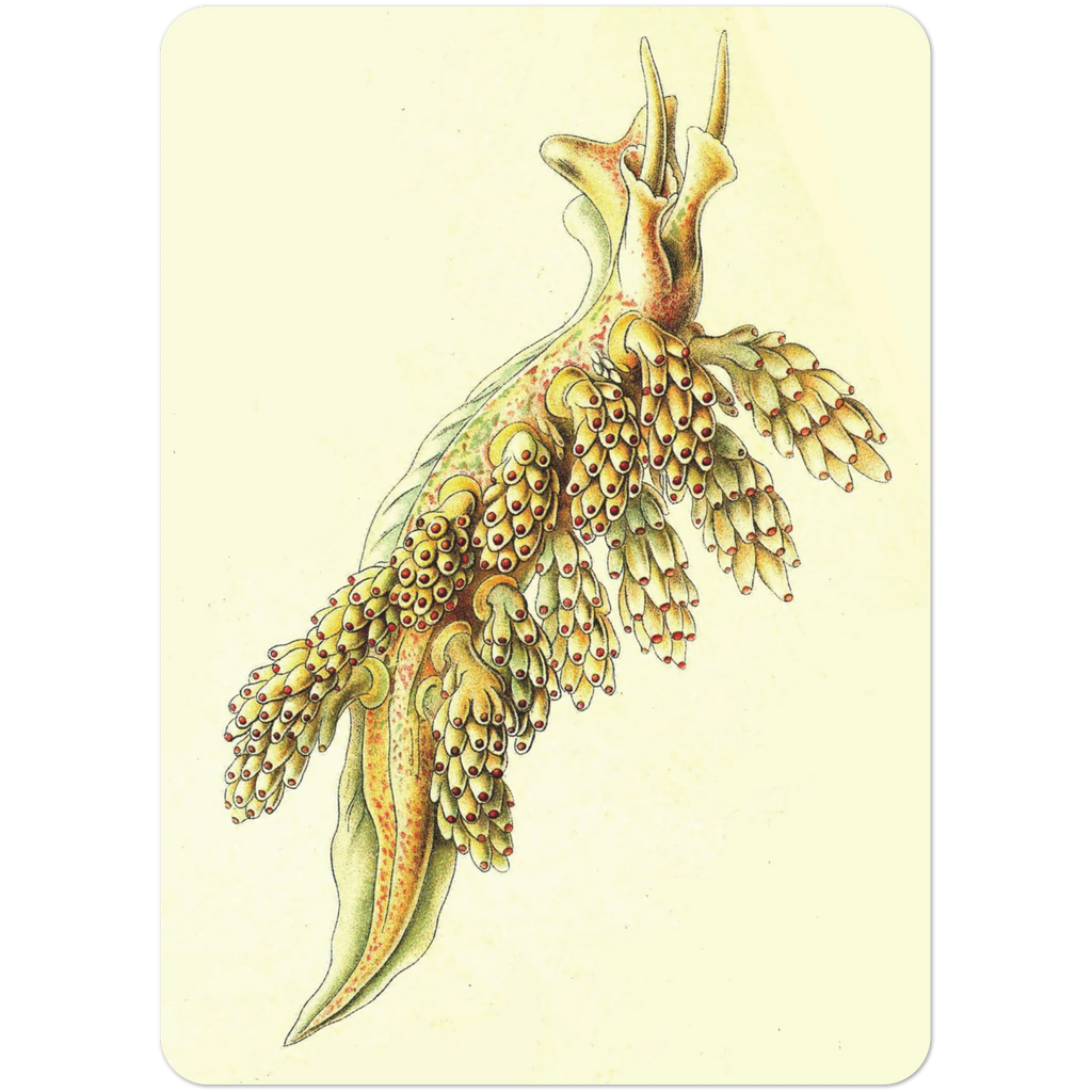 c8fec29c-ba6b-4ea0-9578-6a941515911d