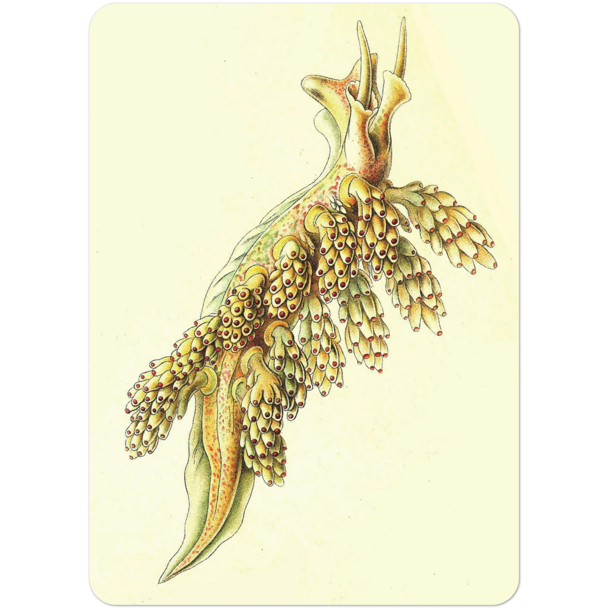 c8fec29c-ba6b-4ea0-9578-6a941515911d