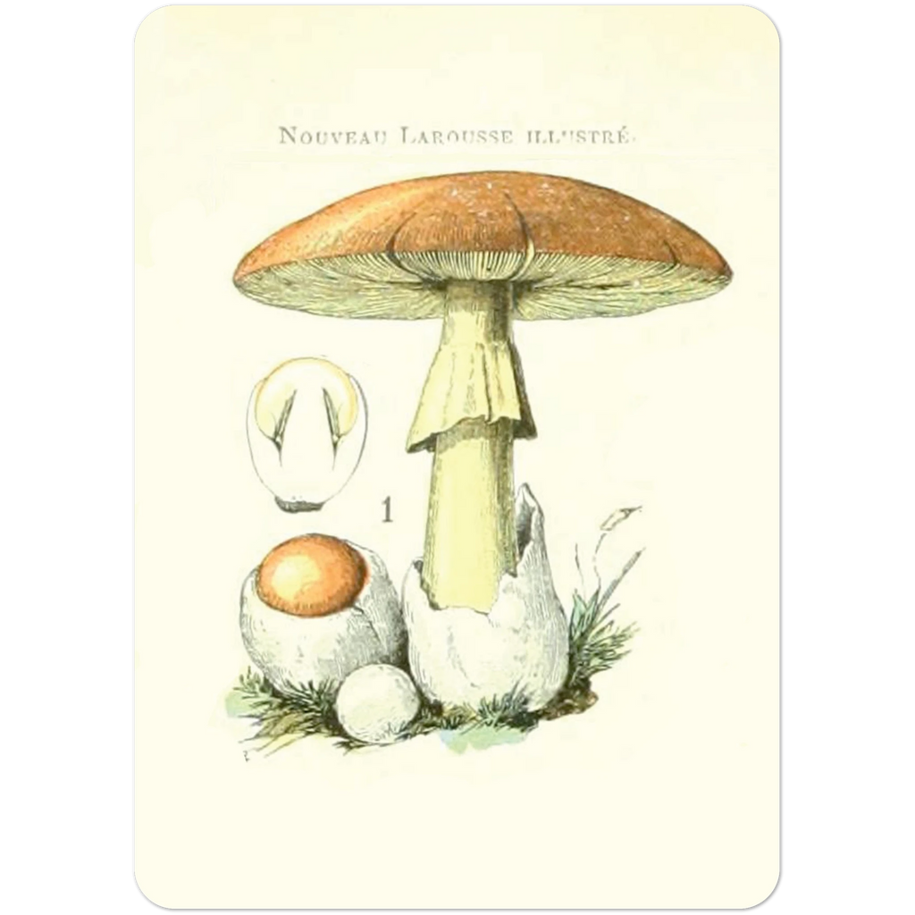 cfc2b9d6-057e-4920-be9a-75d13b9fc98d