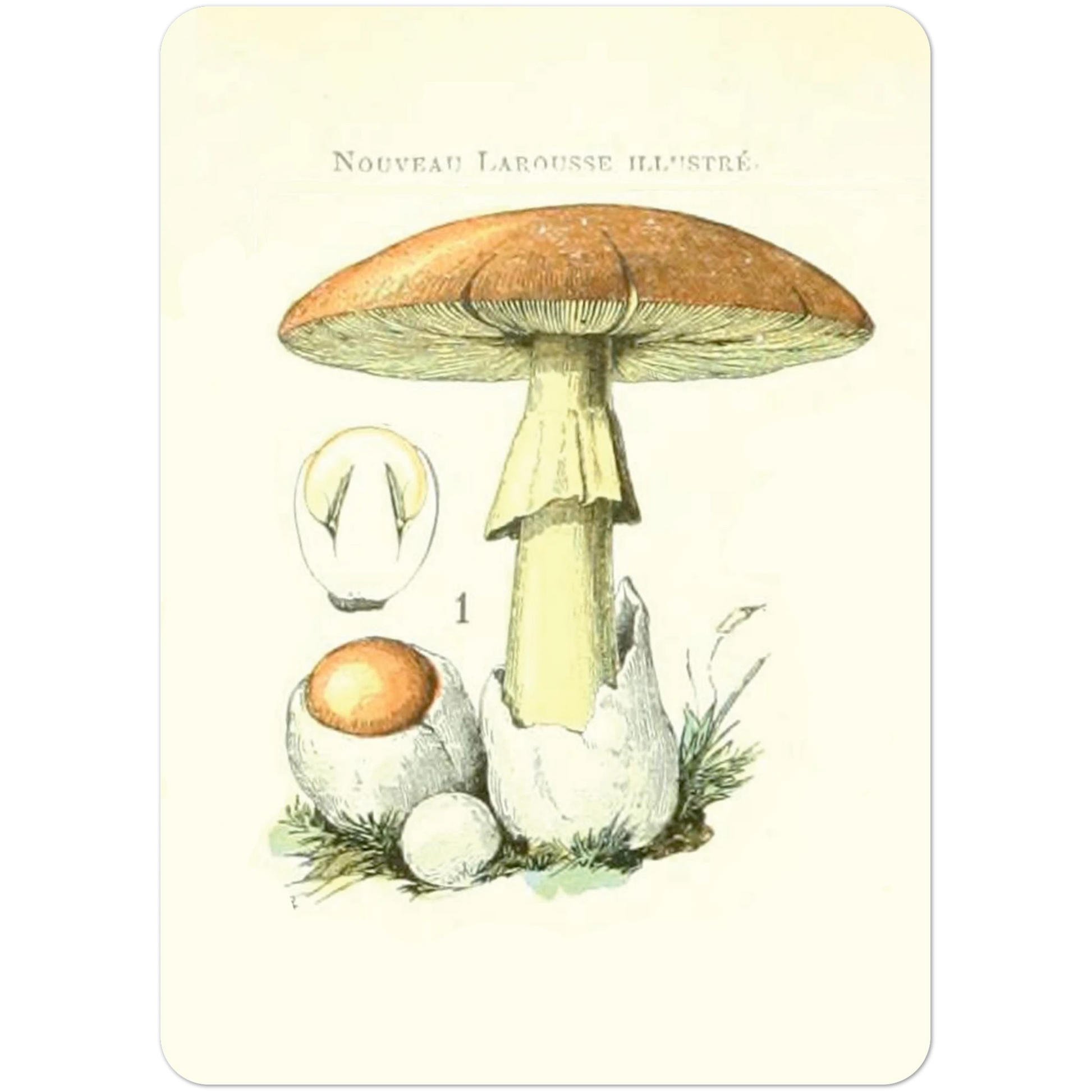 cfc2b9d6-057e-4920-be9a-75d13b9fc98d