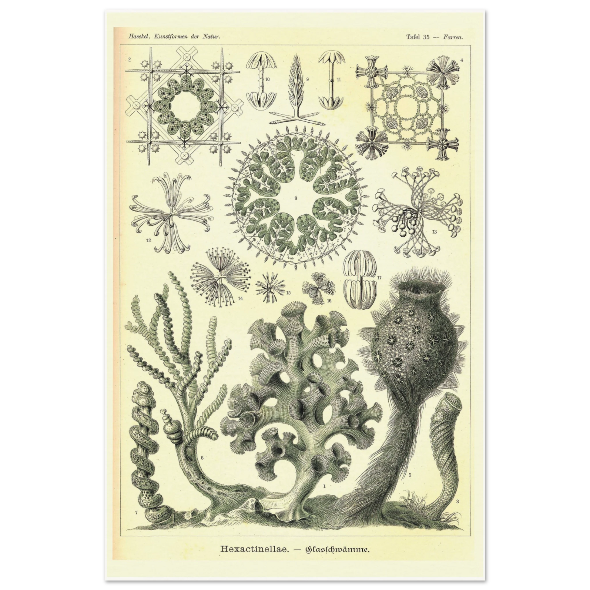 d01b98b3-9195-44dd-9727-5735244c69cf