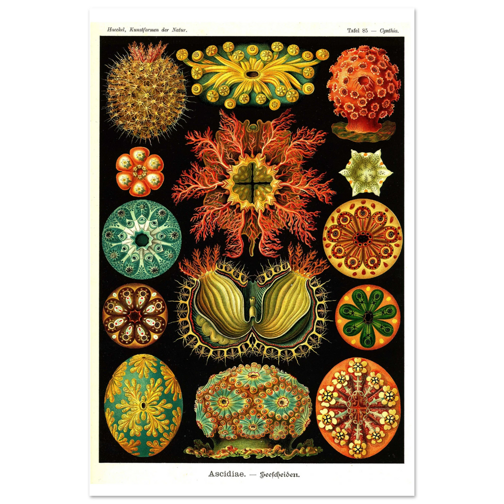 d1194f52-17cc-4f9e-a910-a4a25bbb8506