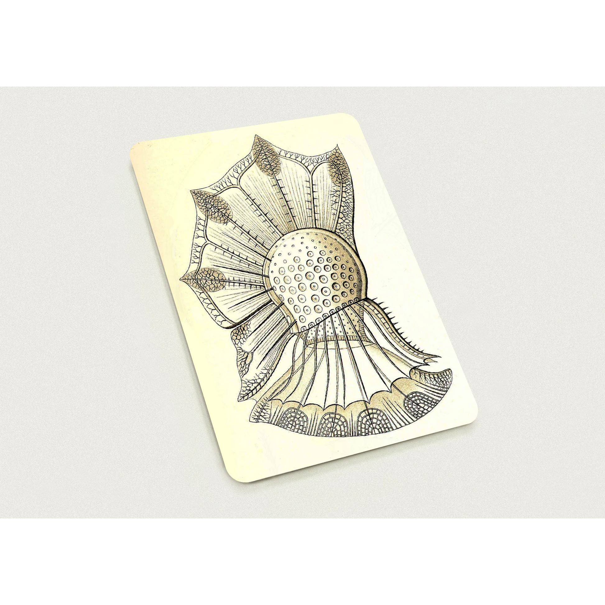 d11a2ac1-0730-4006-910f-efba36d77407