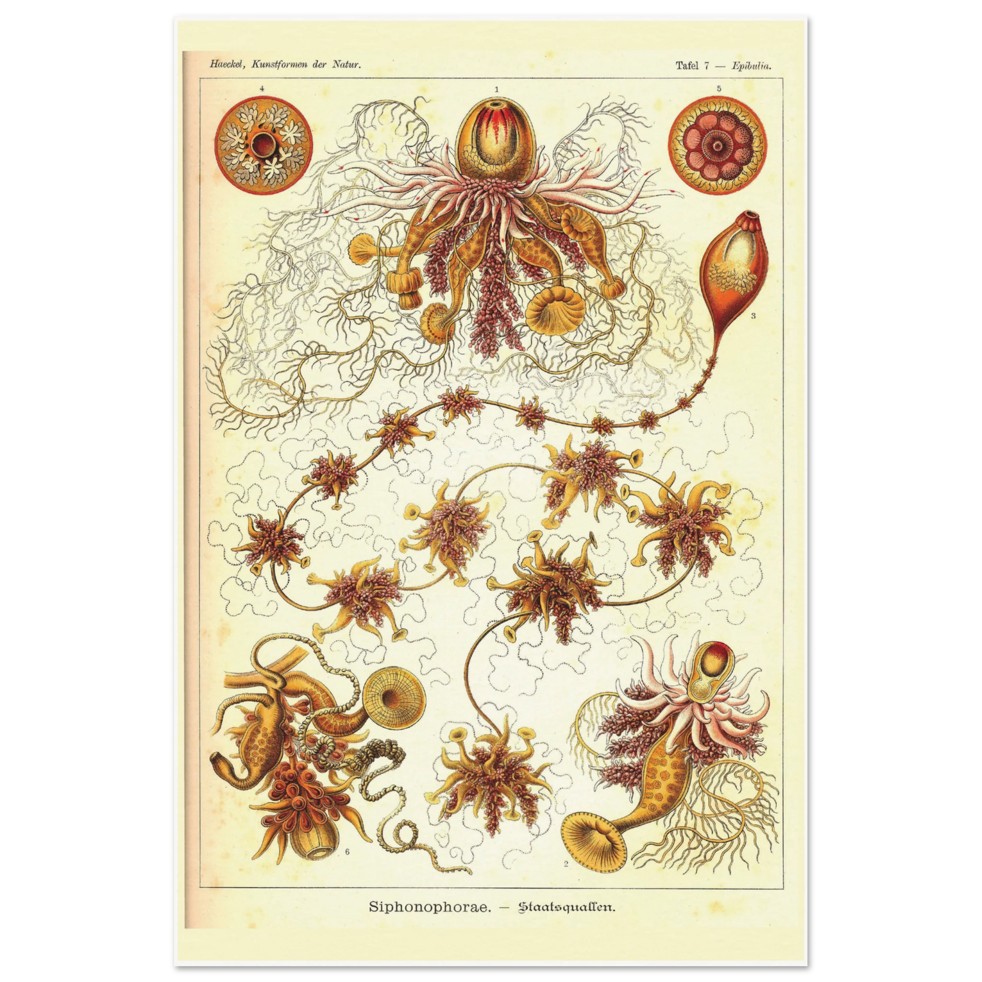 d1fcb2c5-a187-4eae-89ed-2a49a394aa12