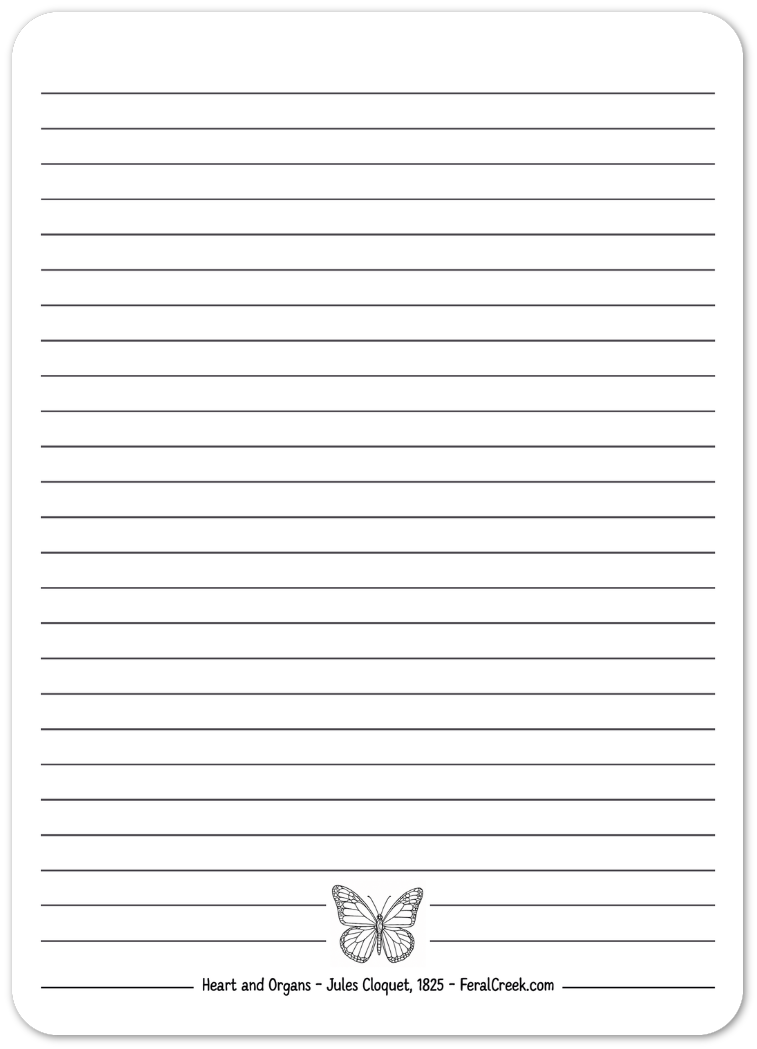 d3fa08d2-6349-473d-97ba-88d91fa1588e