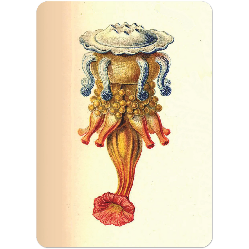 d41456f7-9228-4c46-97e9-9665e16cb2c9