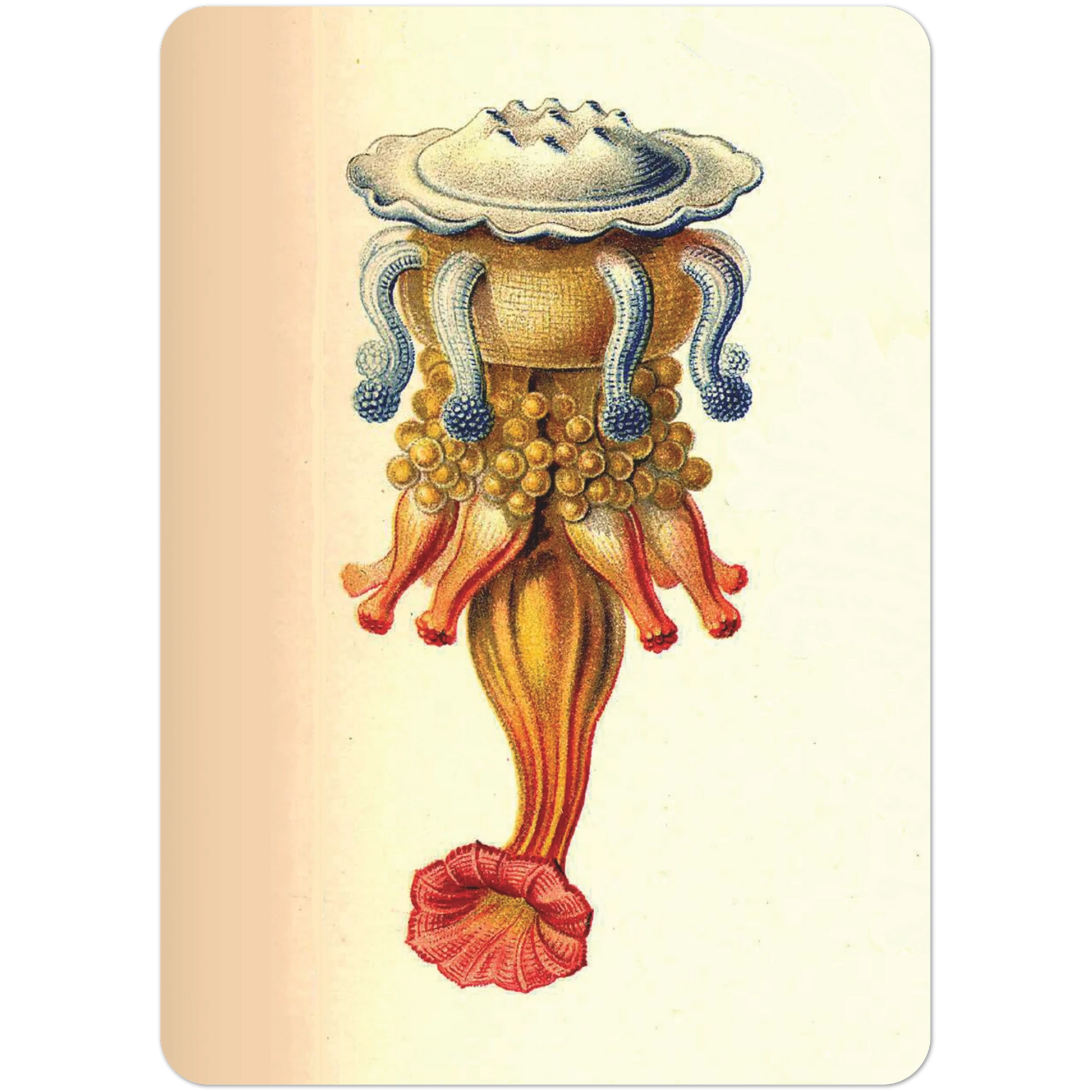 d41456f7-9228-4c46-97e9-9665e16cb2c9