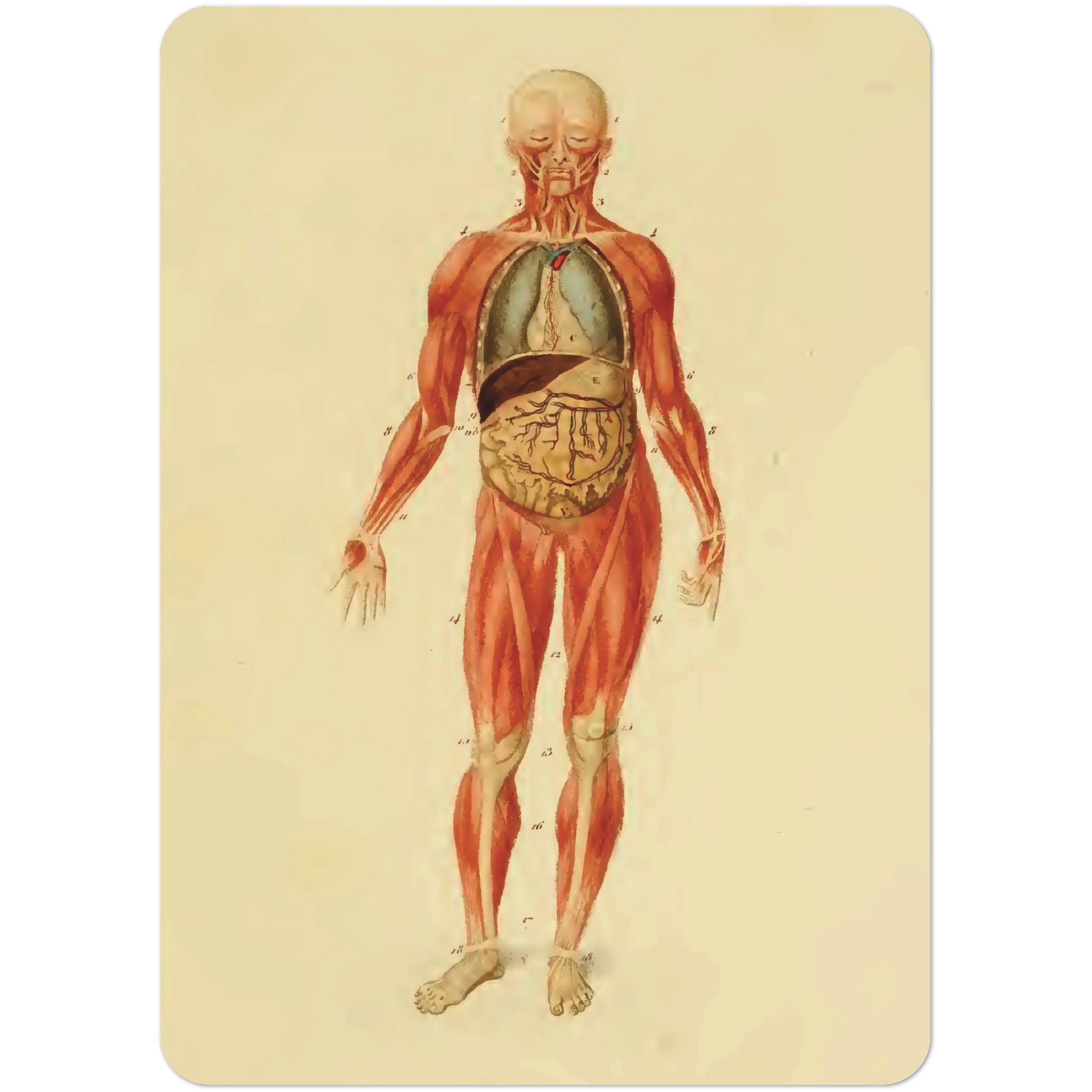 d640b120-3330-4beb-abc5-26f6a9cfe9de