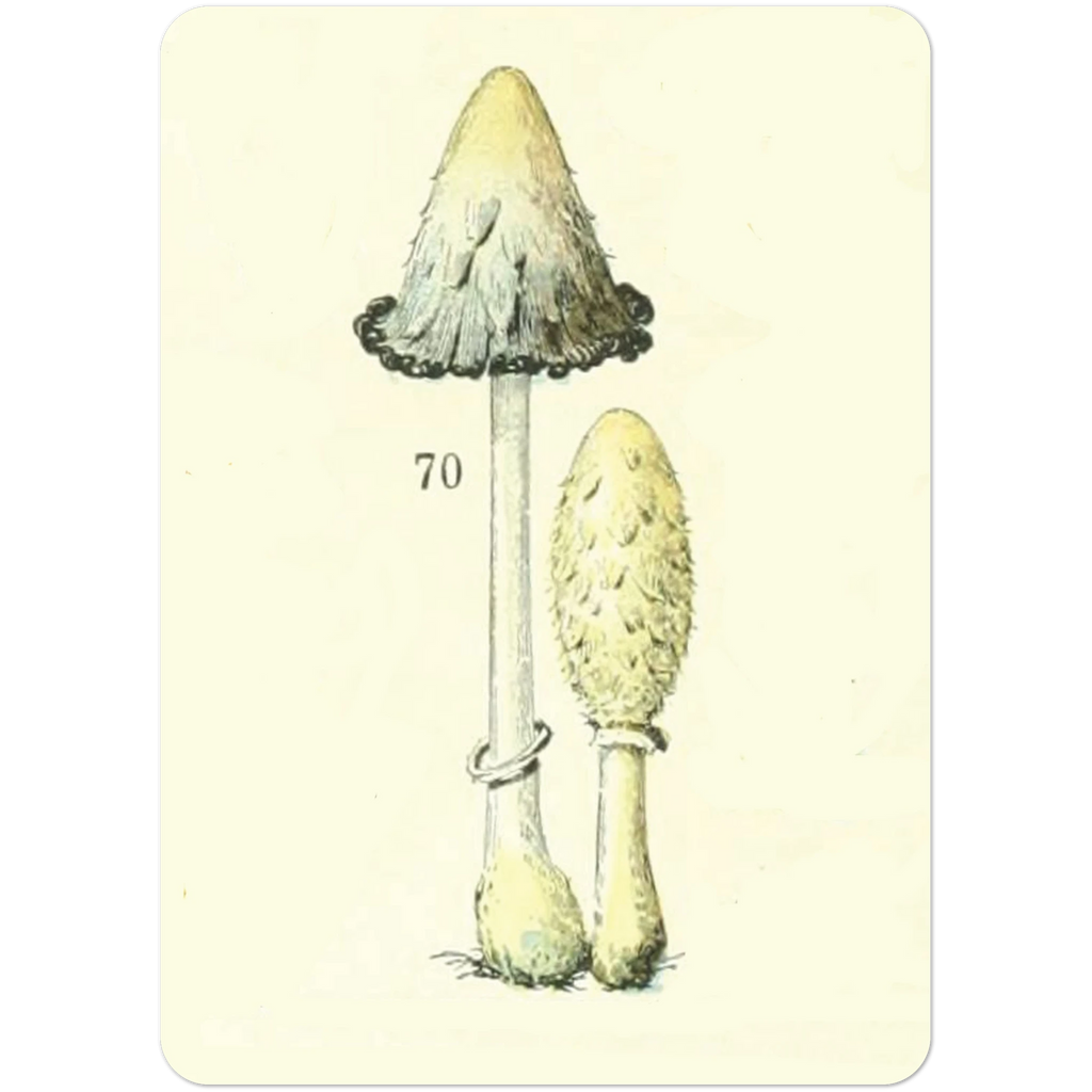 d89a2d1c-cdc2-433f-9801-61541f5717ae