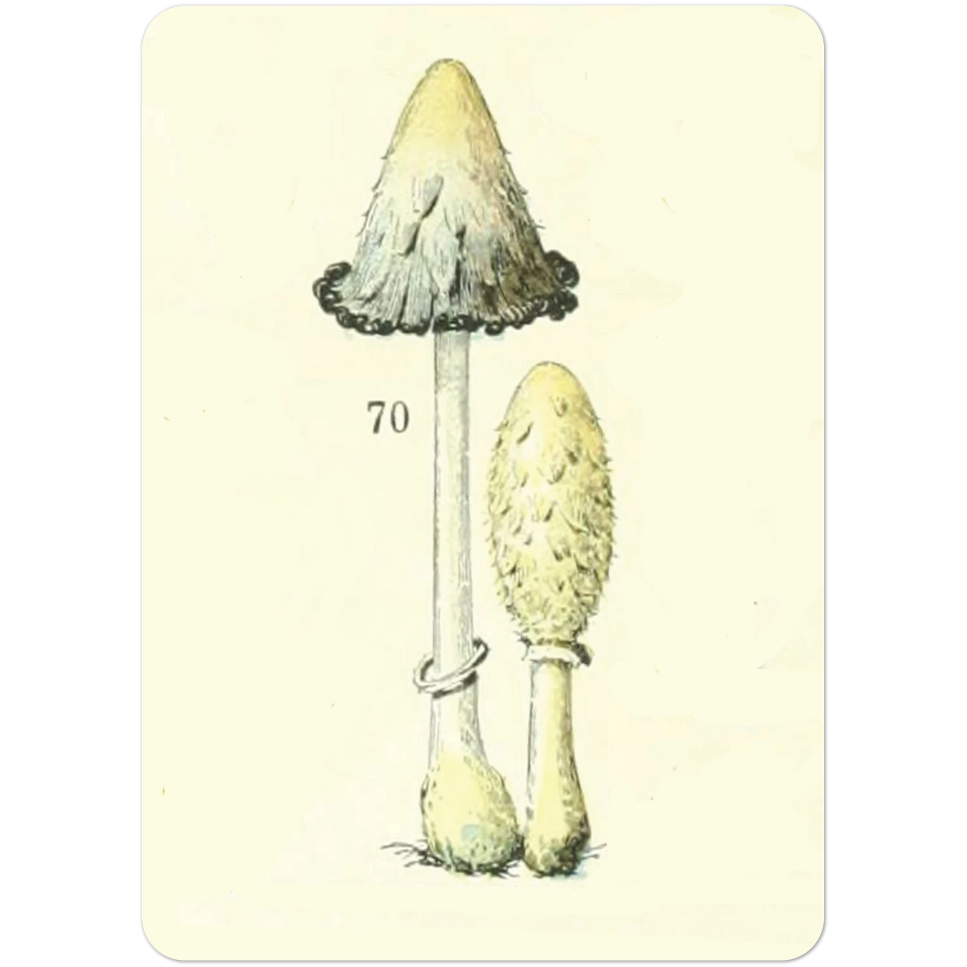 d89a2d1c-cdc2-433f-9801-61541f5717ae