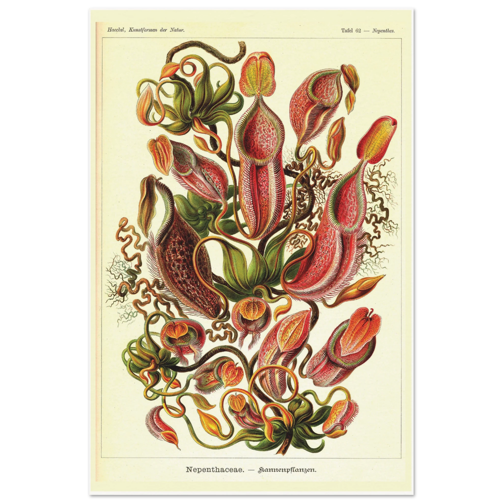 d975e71b-3765-42cc-ae54-9cec127526be