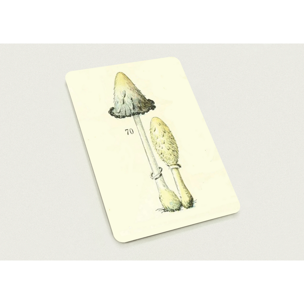 da9c39bb-16dd-4f72-bb37-c58569494b67