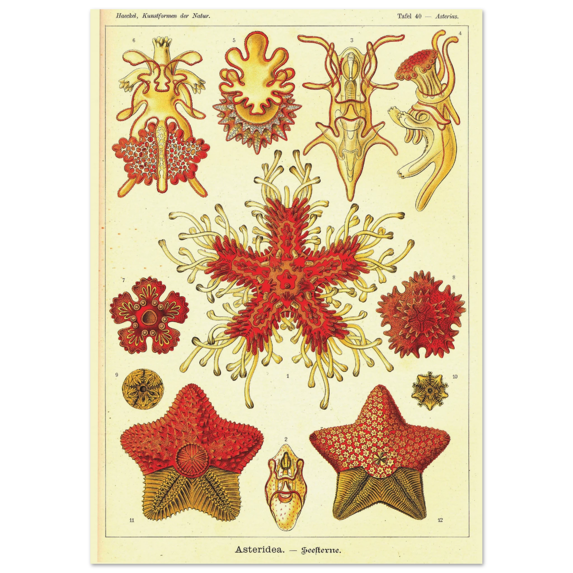 dcd5370f-fc47-4502-ade1-007c9eeab7a8