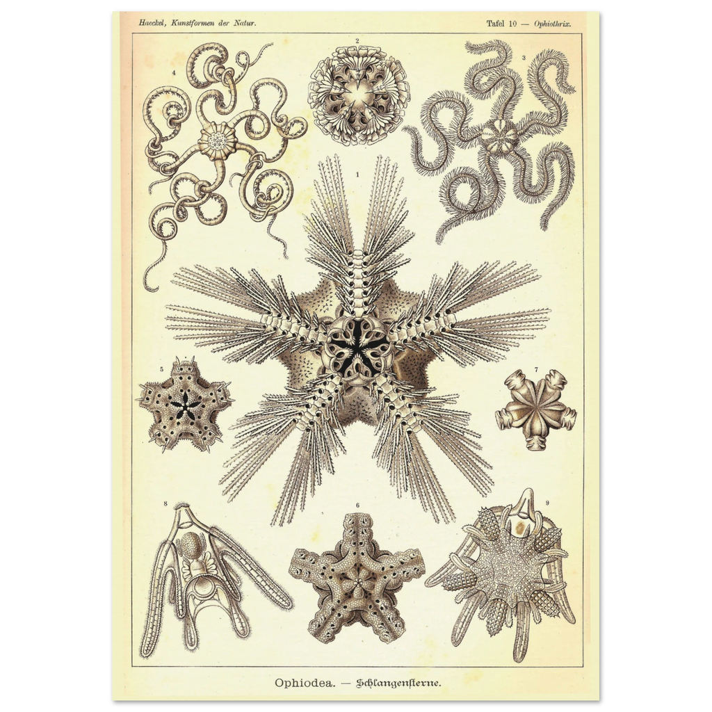 dd0c7294-1fab-467a-91ae-bcb042850d1b