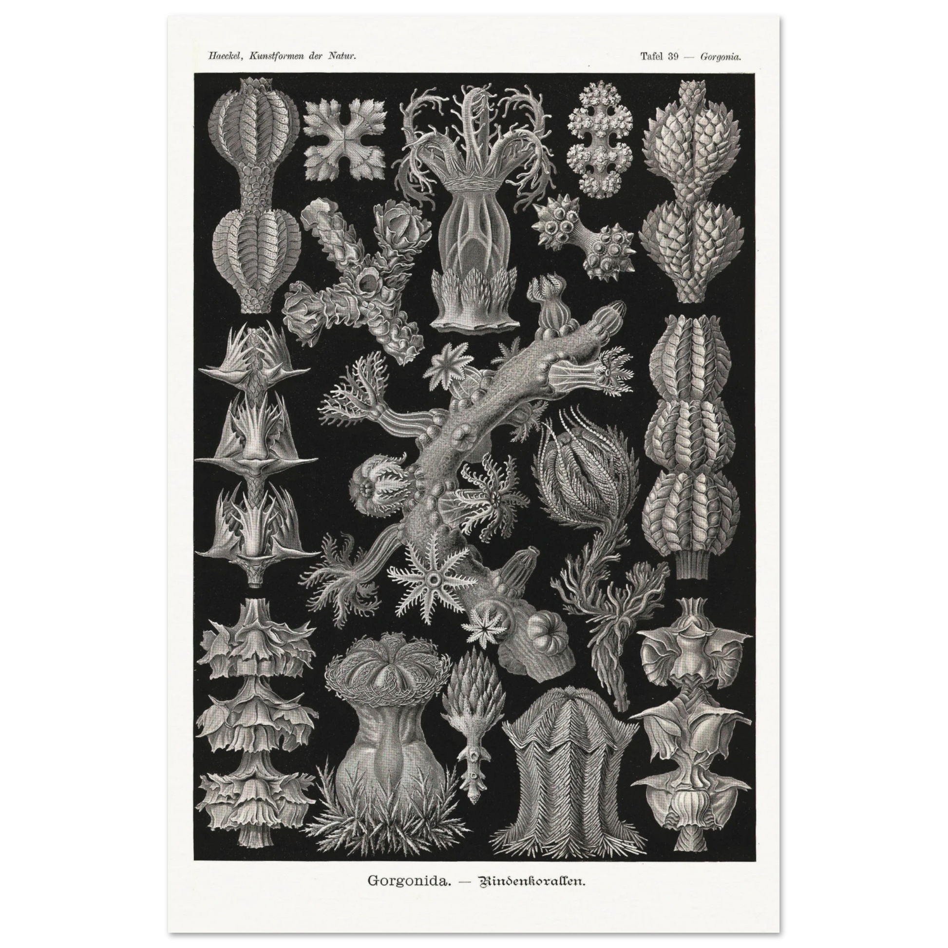 dd52e169-e514-429b-81a4-b86222ce4d59