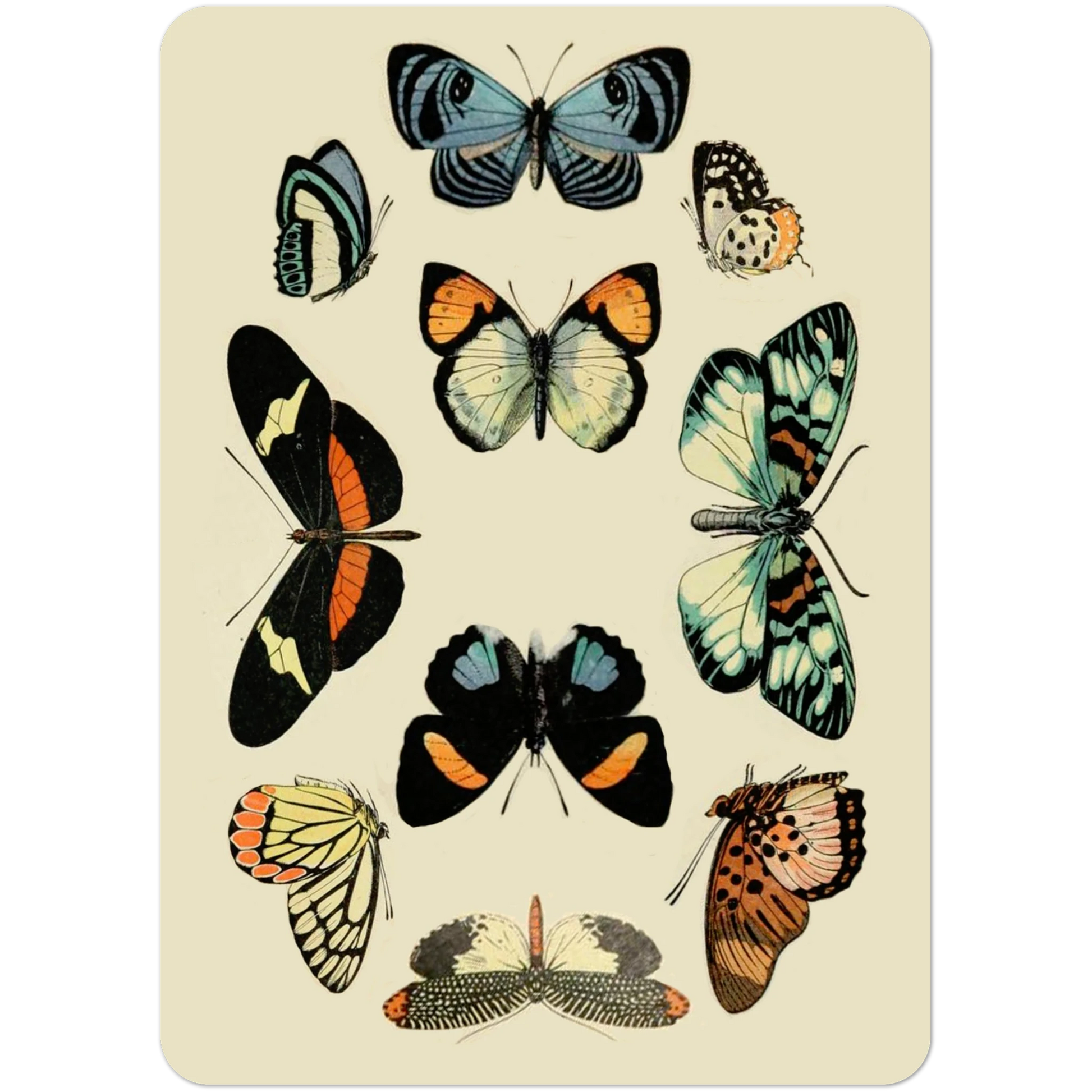 e256dcfe-ee63-485f-b92f-5c836d76abfd