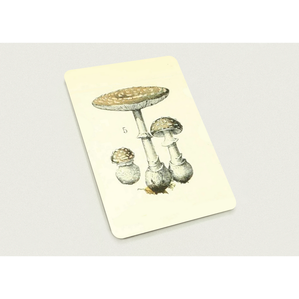 e5352474-711f-4c67-911f-f6e5e9b6d3c3