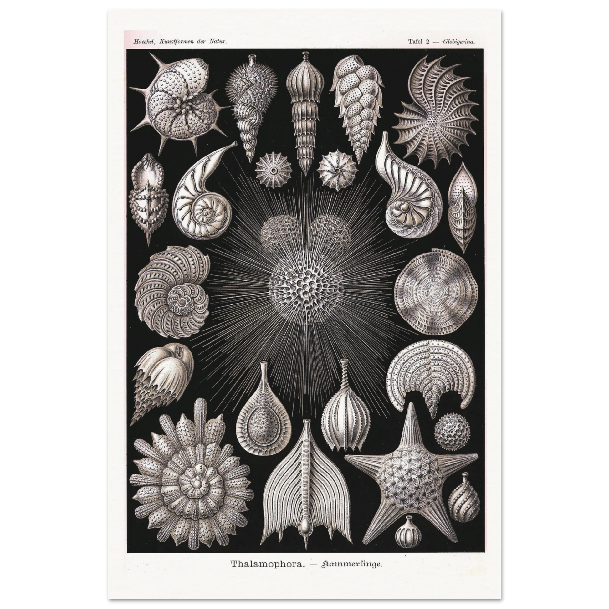 e61e1749-9e42-4e92-9f7a-9f6f33328bc1