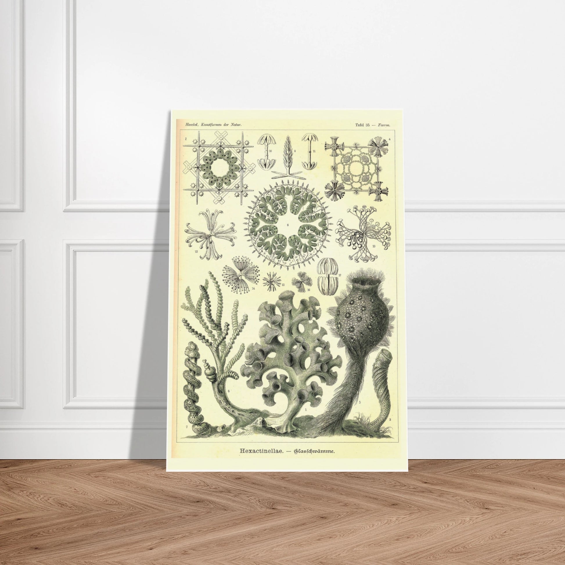 e82bc655-0539-405e-9d6b-fb4f38d4c196