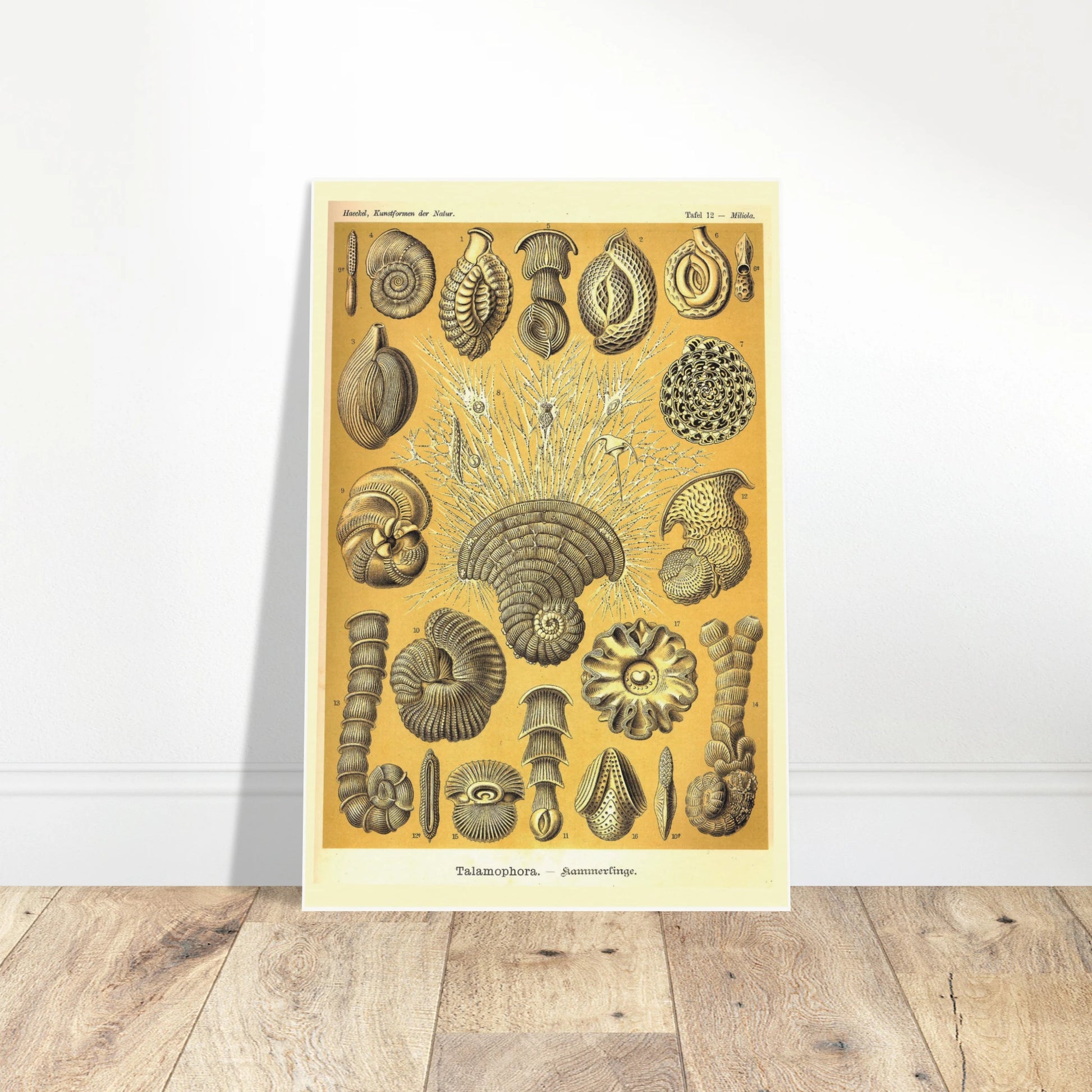 e8a8b4c1-0237-4be2-96f9-d43d57484e11