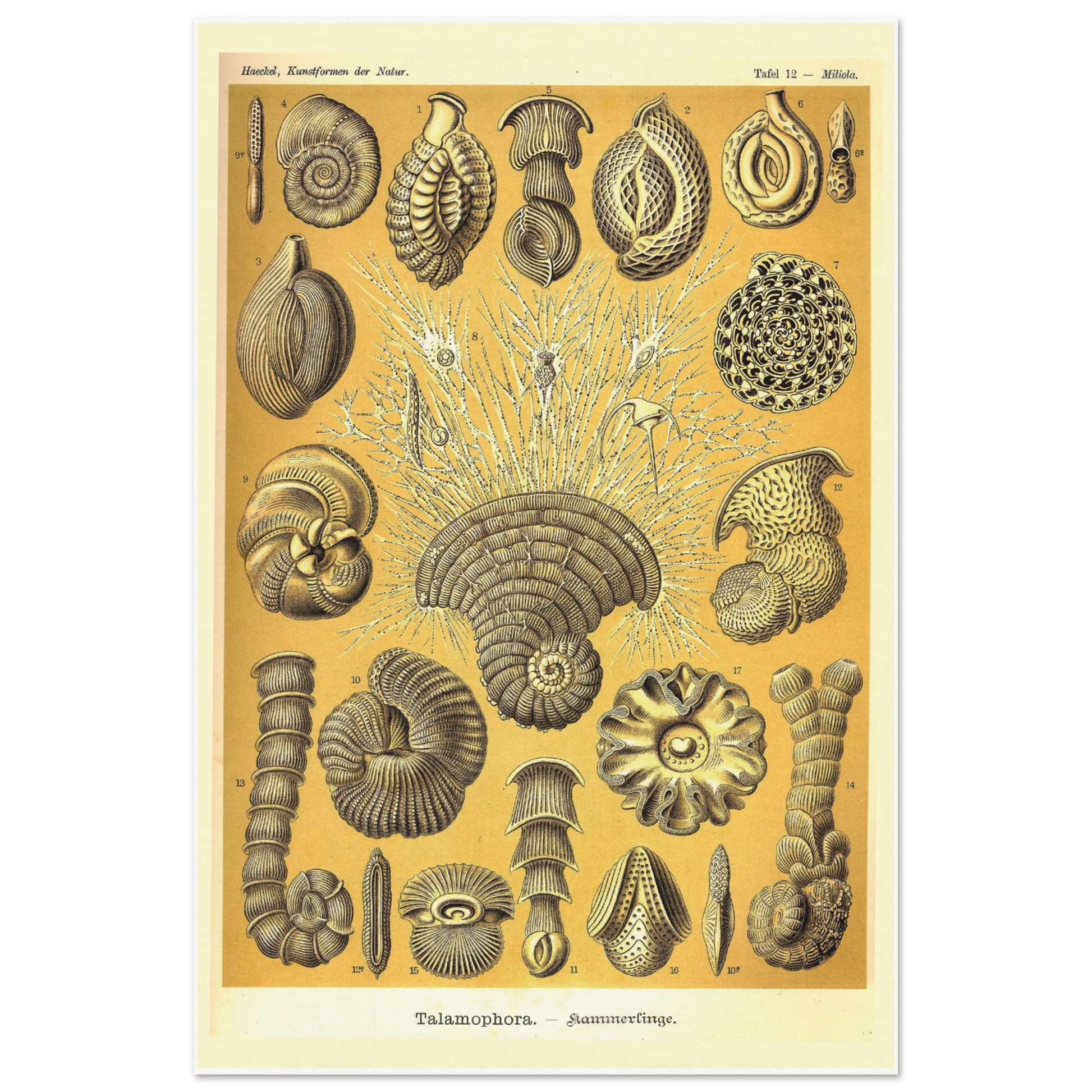 edbaf214-ff32-4261-bc2b-278e231d463a